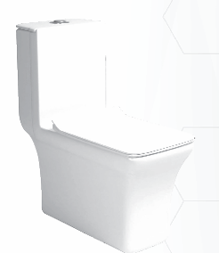 EWC (Toilet WC)
